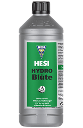 Hesi Hydro Blüte - Grow Zeche